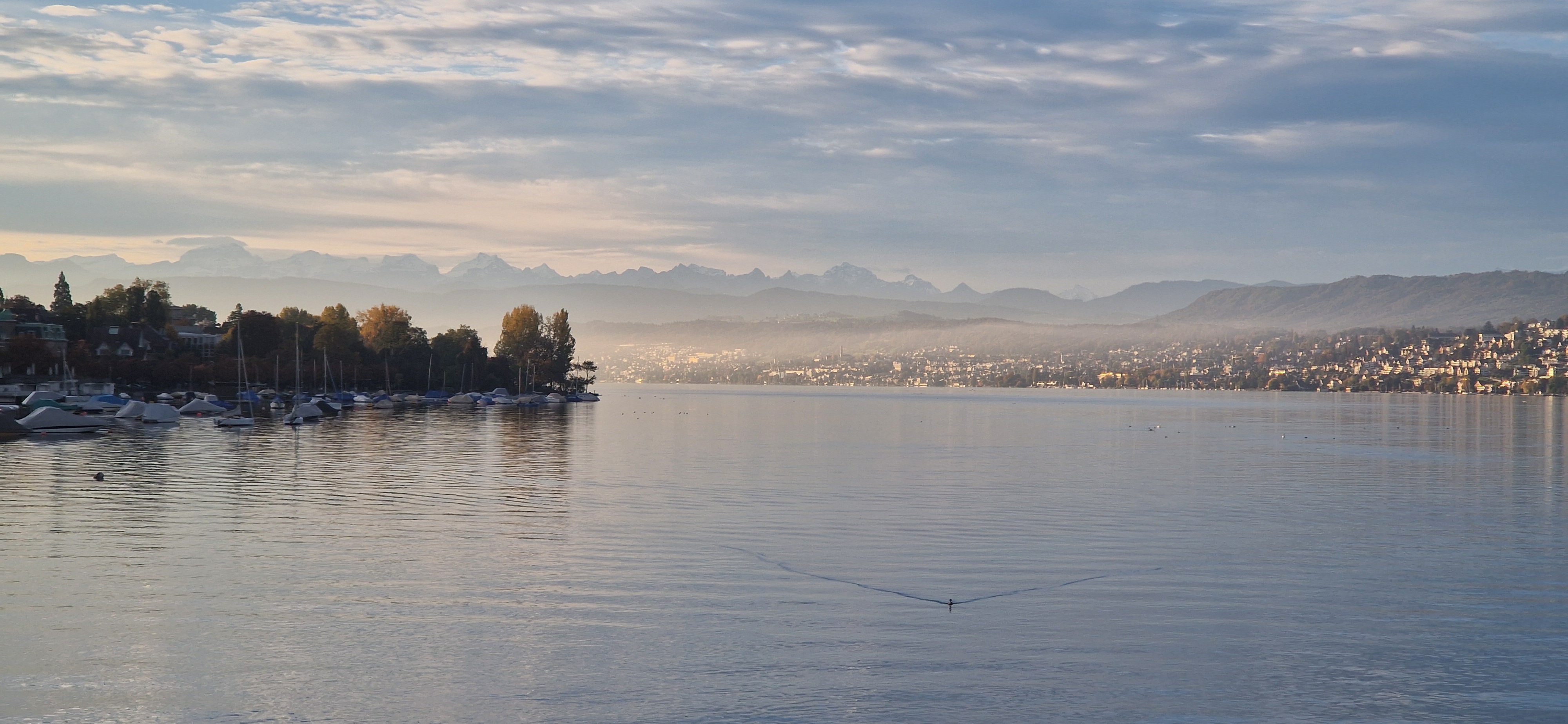 A picture of lake Zürich in the morning